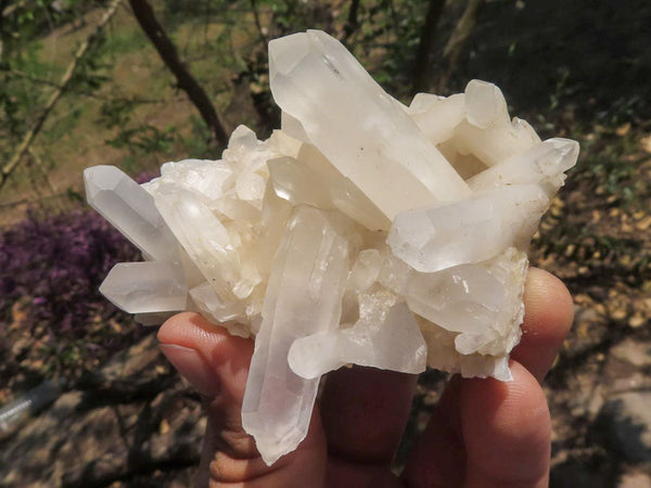 Natural Mixed Quartz Clusters With Long Acicular Crystals  x 12 From Mandrosonoro, Madagascar - TopRock