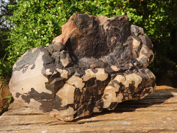 Natural Extra Large Elestial Blacknite Quartz Specimen  x 1 From Madagascar - Toprock Gemstones and Minerals 