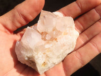 Natural White Cactus Flower Spirit Quartz Specimens x 12 From Boekenhouthoek, South Africa - Toprock Gemstones and Minerals