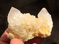 Natural White Cactus Flower Spirit Quartz Specimens x 12 From Boekenhouthoek, South Africa - Toprock Gemstones and Minerals
