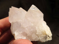 Natural White Cactus Flower Spirit Quartz Specimens x 12 From Boekenhouthoek, South Africa - Toprock Gemstones and Minerals