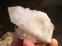 Natural White Cactus Flower Spirit Quartz Specimens x 12 From Boekenhouthoek, South Africa - Toprock Gemstones and Minerals