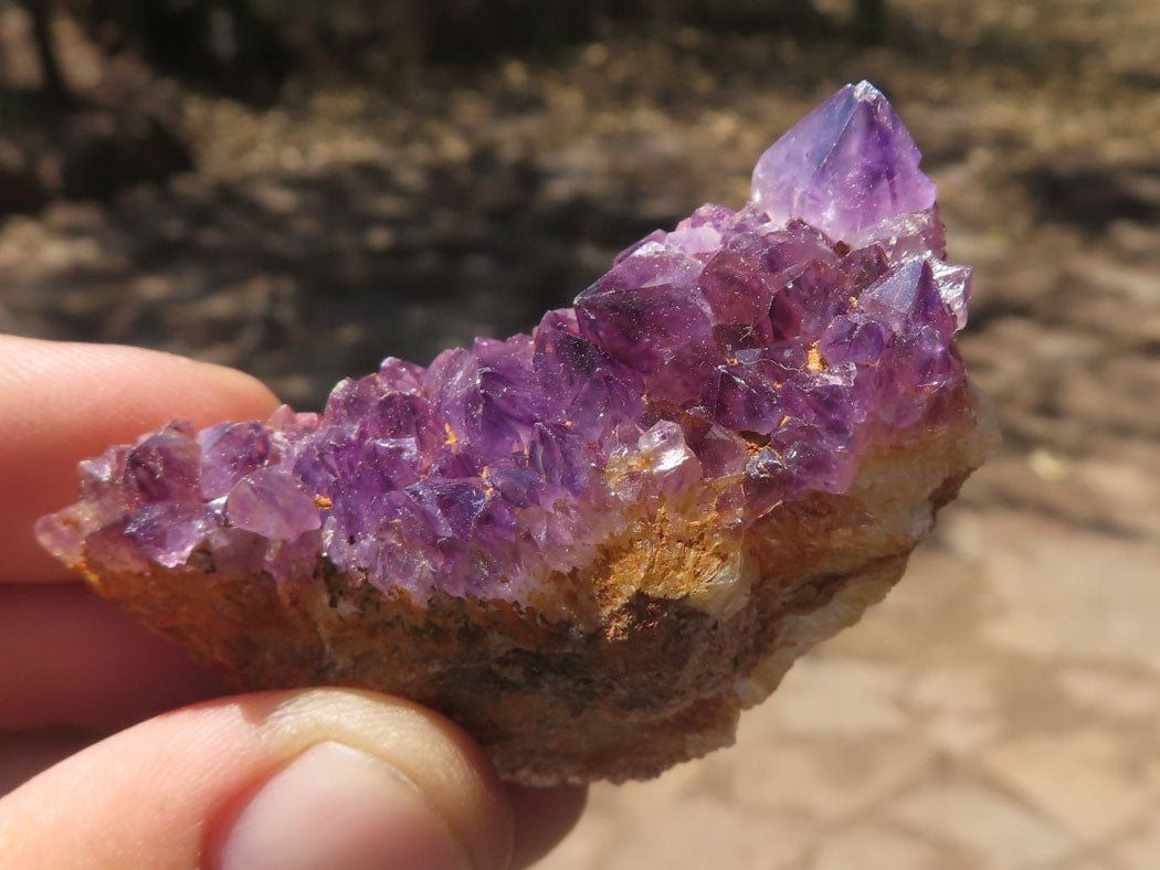 Natural Small Dark "Amethystos" Amethyst Clusters x 35 From Kwaggafontein, South Africa - TopRock