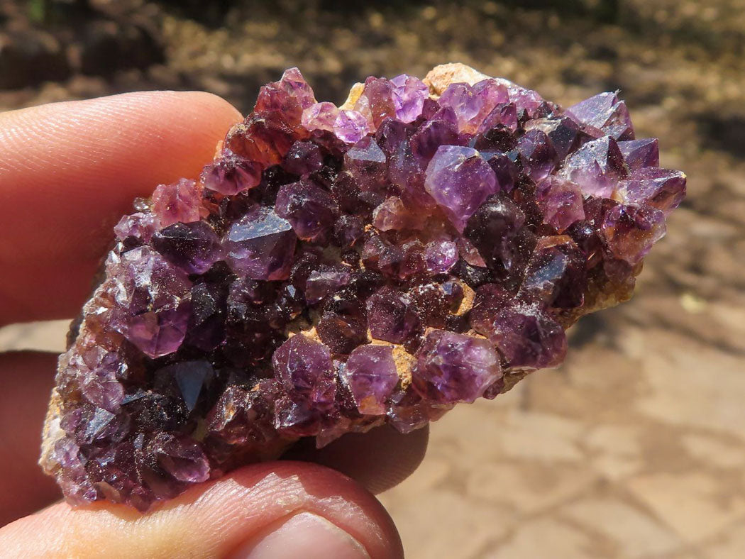 Natural Small Dark "Amethystos" Amethyst Clusters x 35 From Kwaggafontein, South Africa - TopRock