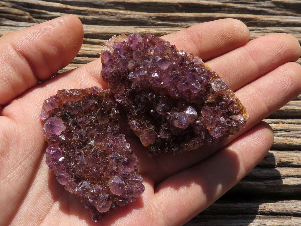 Natural Small Dark "Amethystos" Amethyst Clusters x 35 From Kwaggafontein, South Africa - TopRock