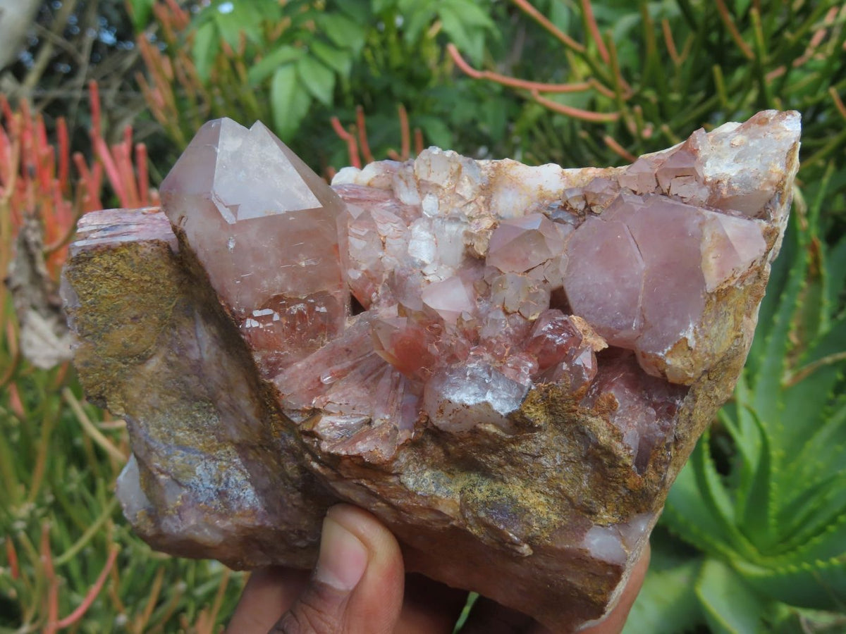 Natural Red Hematoid Quartz Clusters x 3 From Karoi, Zimbabwe - TopRock