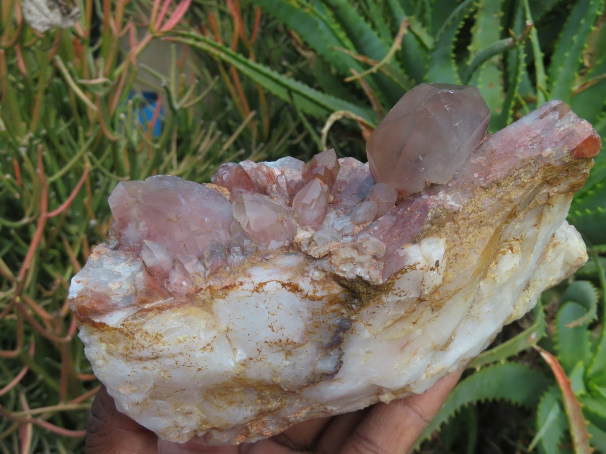 Natural Red Hematoid Quartz Clusters x 3 From Karoi, Zimbabwe - TopRock