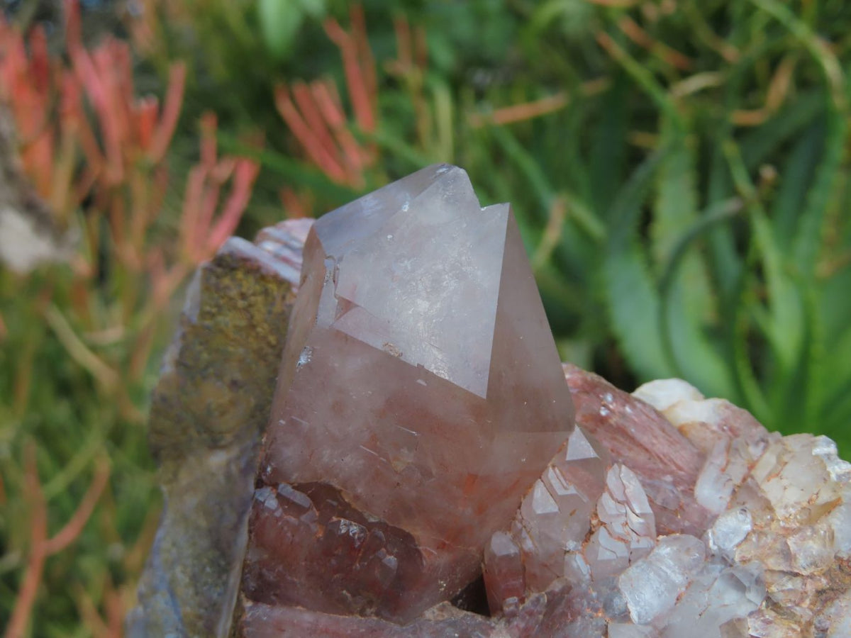 Natural Red Hematoid Quartz Clusters x 3 From Karoi, Zimbabwe - TopRock