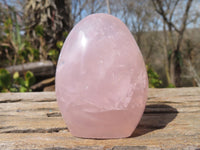 Polished Rose Quartz Standing Free Forms x 6 From Antsirabe, Madagascar - Toprock Gemstones and Minerals