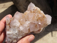 Natural Spirit Cactus Quartz Clusters x 4 From Boekenhouthoek, South Africa - Toprock Gemstones and Minerals
