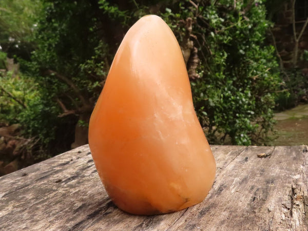 Polished Orange Twist Calcite Standing Free Form x 1 From Madagascar - TopRock