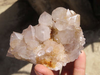 Natural Spirit Cactus Quartz Clusters x 4 From Boekenhouthoek, South Africa - Toprock Gemstones and Minerals