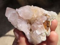 Natural Spirit Cactus Quartz Clusters x 4 From Boekenhouthoek, South Africa - Toprock Gemstones and Minerals