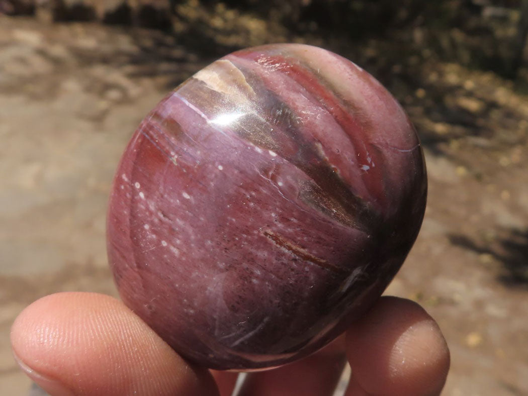 Polished Petrified Red Podocarpus Wood Palm Stones x 12 From Mahajanga, Madagascar - TopRock