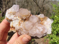 Natural Spirit Cactus Quartz Clusters x 4 From Boekenhouthoek, South Africa - Toprock Gemstones and Minerals