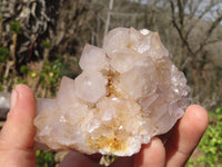 Natural Spirit Cactus Quartz Clusters x 4 From Boekenhouthoek, South Africa - Toprock Gemstones and Minerals