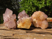 Natural Mixed Spirit Quartz Specimens  x 12 From Boekenhouthoek, South Africa - Toprock Gemstones and Minerals