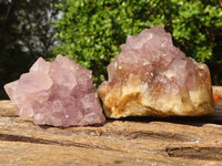 Natural Mixed Spirit Quartz Specimens  x 12 From Boekenhouthoek, South Africa - Toprock Gemstones and Minerals