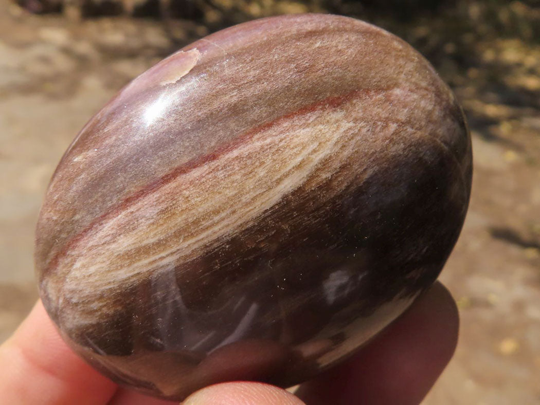 Polished Petrified Red Podocarpus Wood Palm Stones x 12 From Mahajanga, Madagascar - TopRock