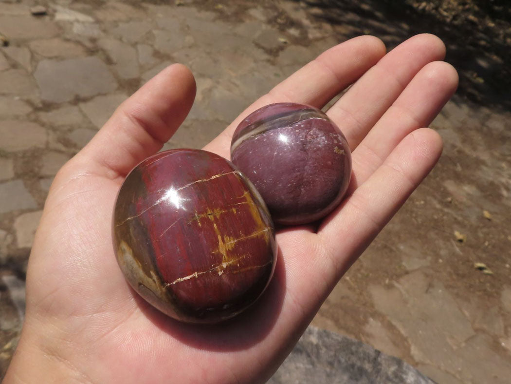 Polished Petrified Red Podocarpus Wood Palm Stones x 12 From Mahajanga, Madagascar - TopRock
