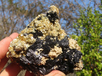 Natural Schorl Black Tourmaline With Vermiculite Specimens x 12 From Erongo, Namibia - Toprock Gemstones and Minerals
