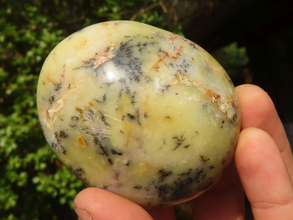Polished Extra Large Dendritic Opal Palm Stones  x 6 From Madagascar - Toprock Gemstones and Minerals 