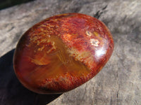 Polished Carnelian Gallets With Natural Vugs & Crystalline Features x 20 From Madagascar - TopRock