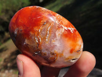 Polished Carnelian Gallets With Natural Vugs & Crystalline Features x 20 From Madagascar - TopRock