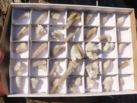 Natural Long Fingered White Spirit Quartz Crystals x 35 From Boekenhouthoek, South Africa - Toprock Gemstones and Minerals