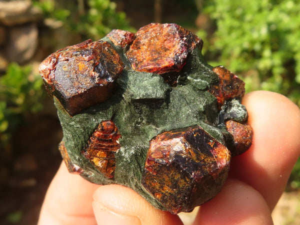 Natural Pyrope Garnet Crystals  x 56 From Zimbabwe - Toprock Gemstones and Minerals 