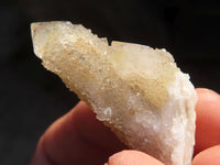 Natural Long Fingered White Spirit Quartz Crystals x 35 From Boekenhouthoek, South Africa - Toprock Gemstones and Minerals