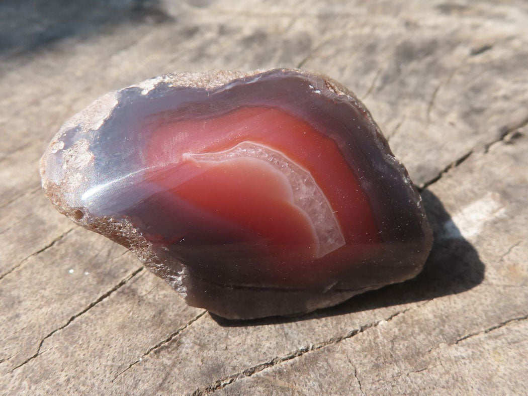Polished One Side Polished River Agate Nodules x 24 From Zimbabwe - TopRock