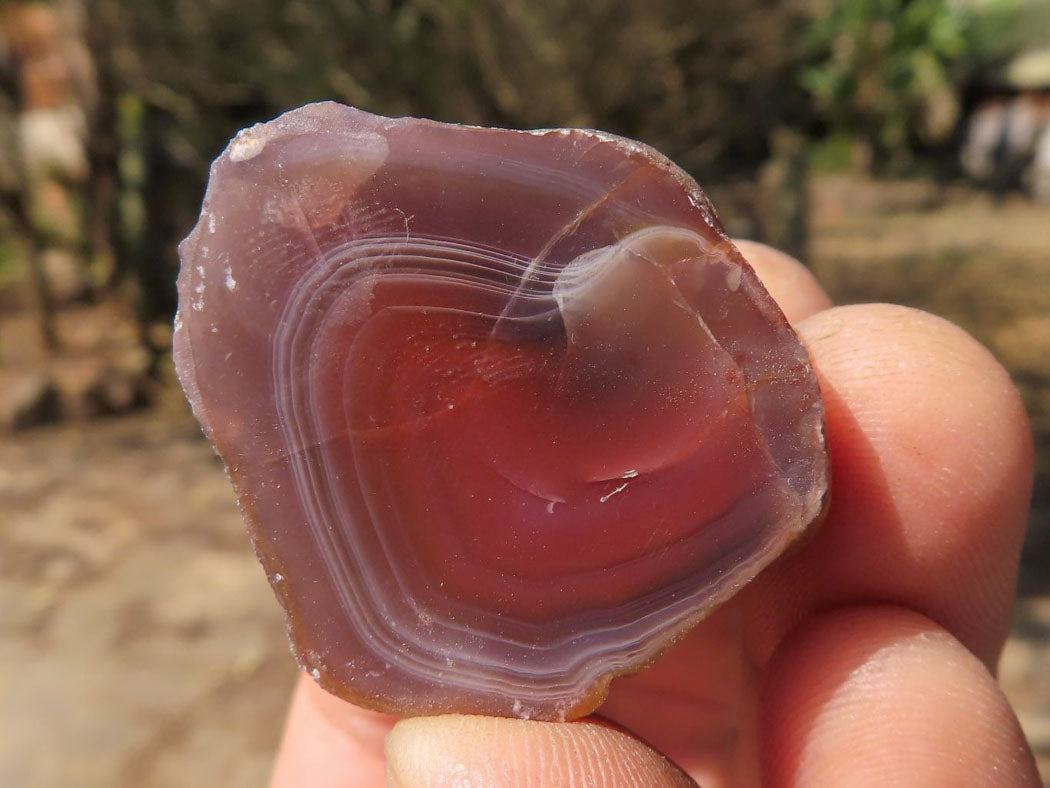 Polished One Side Polished River Agate Nodules x 24 From Zimbabwe - TopRock