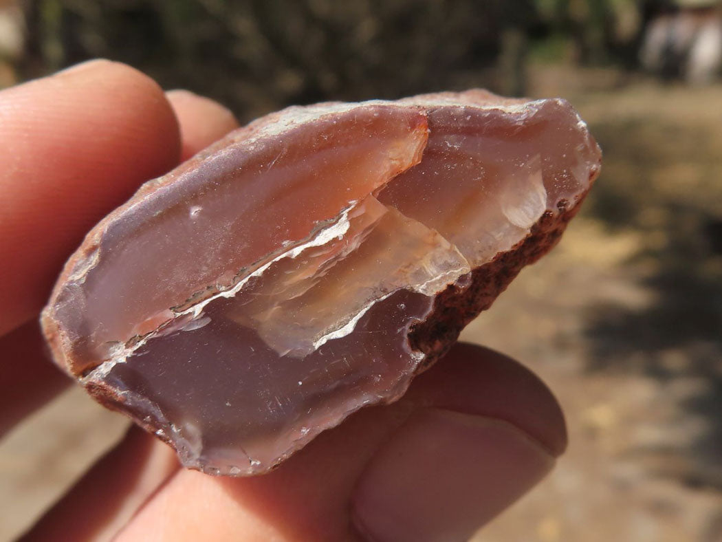 Polished One Side Polished River Agate Nodules x 24 From Zimbabwe - TopRock