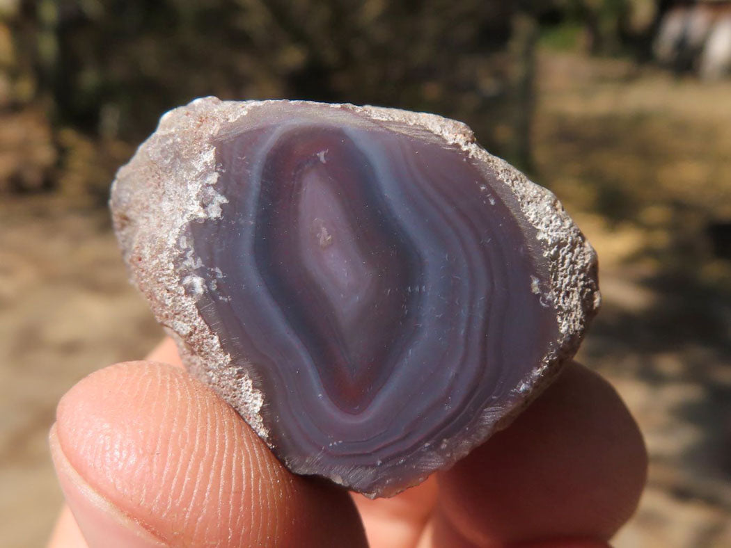 Polished One Side Polished River Agate Nodules x 24 From Zimbabwe - TopRock
