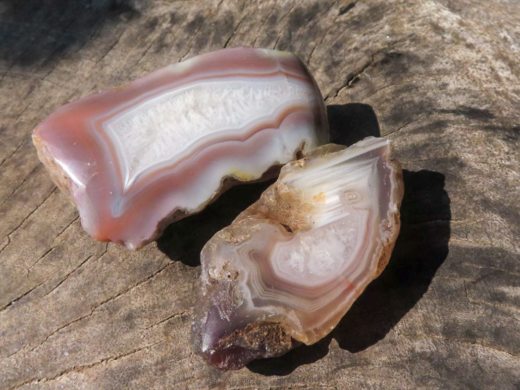 Polished One Side Polished River Agate Nodules x 24 From Zimbabwe - TopRock