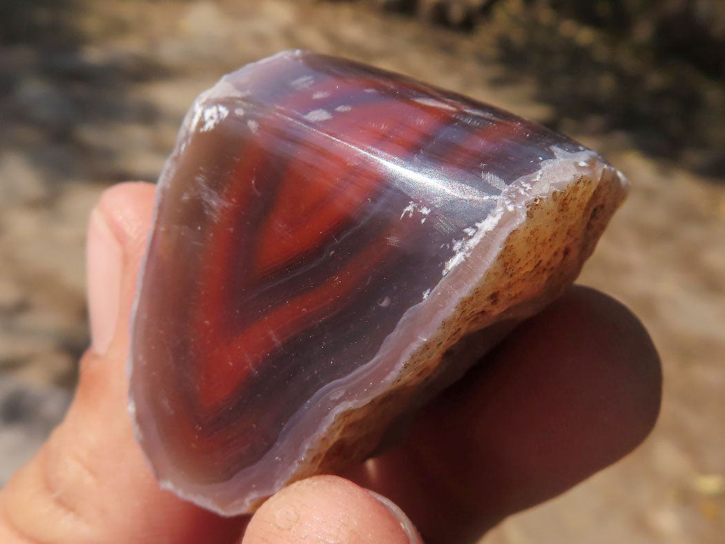 Polished One Side Polished River Agate Nodules x 24 From Zimbabwe - TopRock