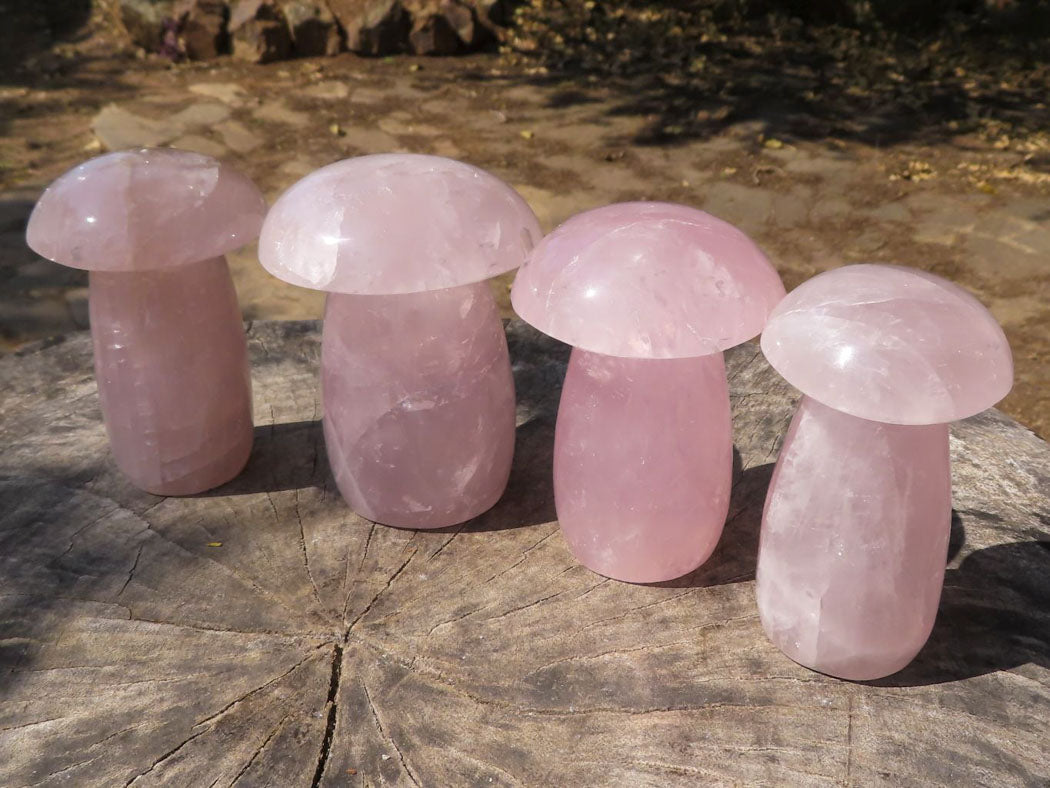 Polished Large Gemmy Pink Rose Quartz Mushrooms x 4 From Madagascar - TopRock