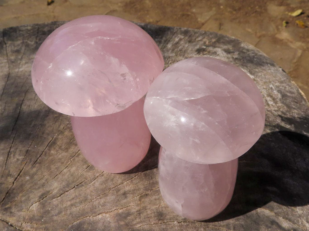 Polished Large Gemmy Pink Rose Quartz Mushrooms x 4 From Madagascar - TopRock