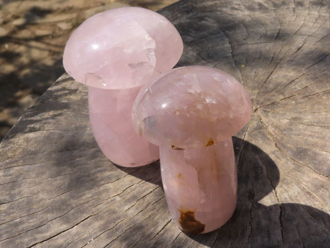 Polished Large Gemmy Pink Rose Quartz Mushrooms x 4 From Madagascar - TopRock