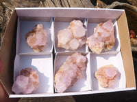 Natural Spirit Amethyst Cactus Quartz Clusters  x 6 From Boekenhouthoek, South Africa - Toprock Gemstones and Minerals