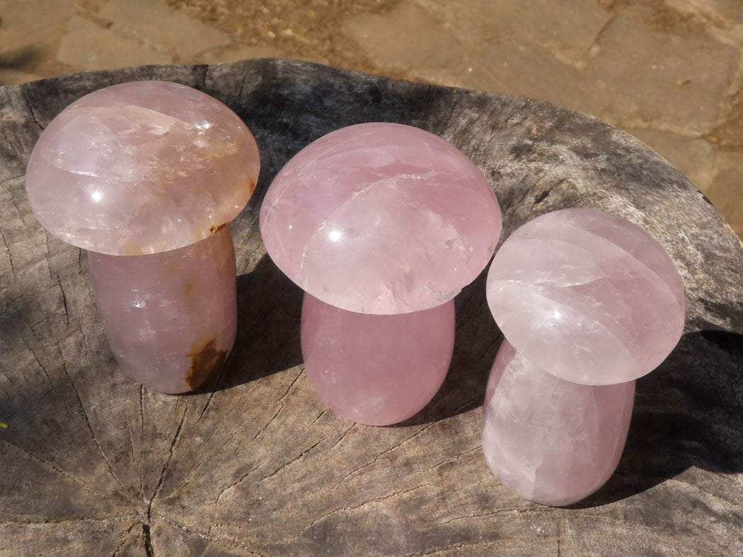 Polished Large Gemmy Pink Rose Quartz Mushrooms x 4 From Madagascar - TopRock