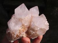 Natural Spirit Amethyst Cactus Quartz Clusters  x 6 From Boekenhouthoek, South Africa - Toprock Gemstones and Minerals