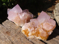 Natural Spirit Amethyst Cactus Quartz Clusters  x 6 From Boekenhouthoek, South Africa - Toprock Gemstones and Minerals