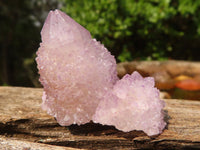 Natural Small Mixed Spirit Quartz Specimens  x 35 From Boekenhouthoek, South Africa - Toprock Gemstones and Minerals