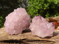 Natural Small Mixed Spirit Quartz Specimens  x 35 From Boekenhouthoek, South Africa - Toprock Gemstones and Minerals