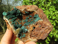 Natural Rare Ball Malachite On Drusi Quartz & Dolomite Matrix  x 2 From Kambove, Congo - Toprock Gemstones and Minerals