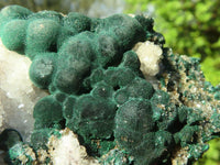 Natural Rare Ball Malachite On Drusi Quartz & Dolomite Matrix  x 2 From Kambove, Congo - Toprock Gemstones and Minerals