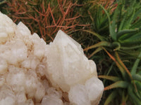 Natural Groovy Extra Large Kitana Cascading Crystal Cluster x 1 From Ambatfinhandrana, Madagascar - TopRock