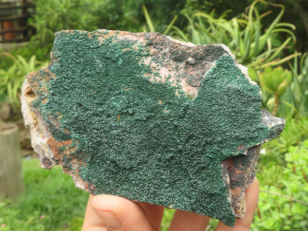 Natural Micro Botryoidal Crystalline Malachite Specimens  x 3 From Congo - TopRock